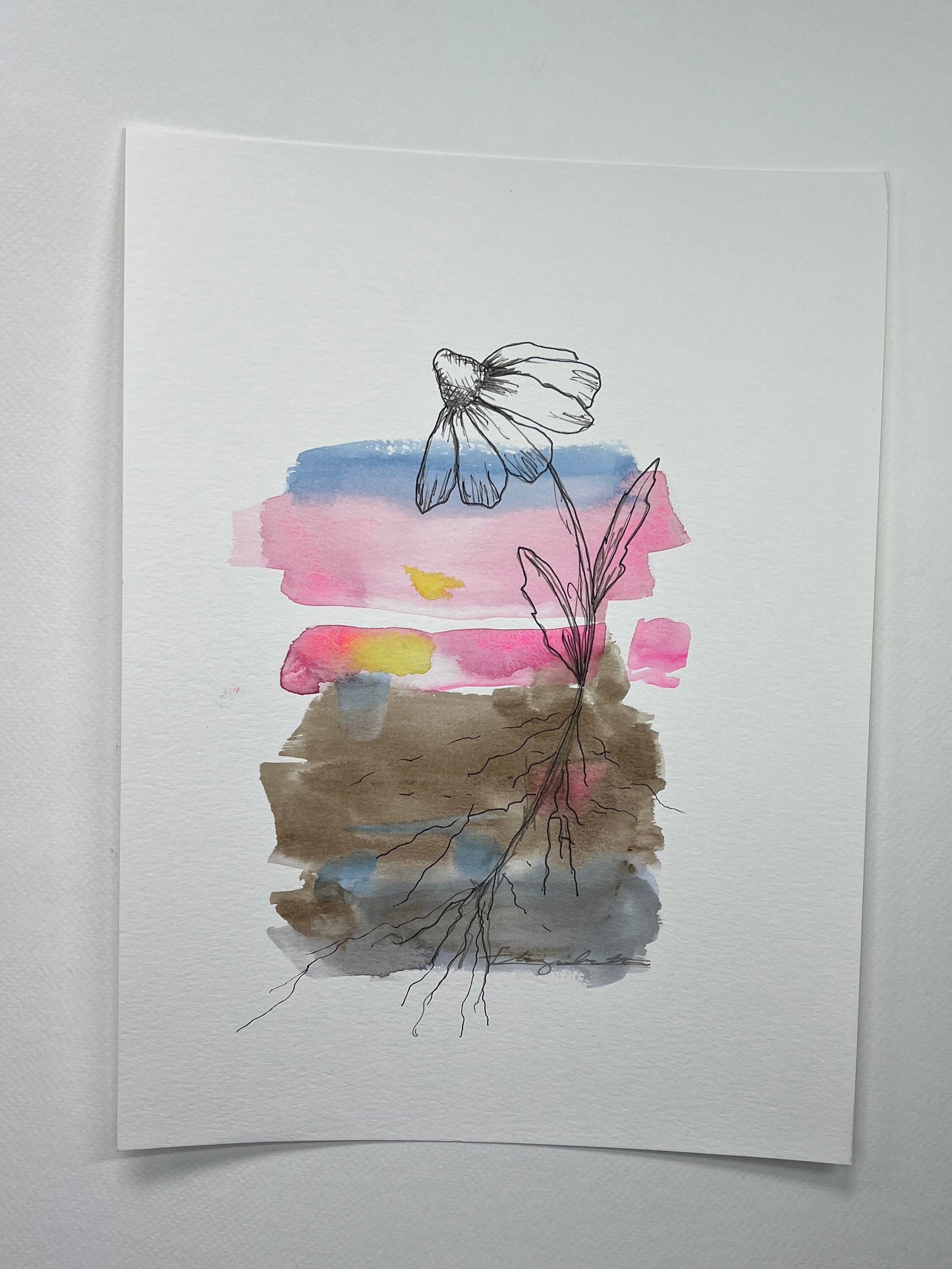 Original Artwork: "Radicatus" Watercolor, graphite and ink