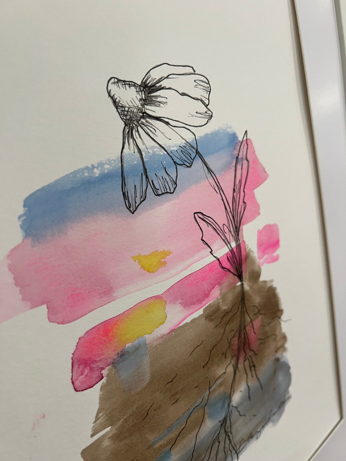 Original Artwork: "Radicatus" Watercolor, graphite and ink